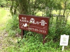 整体・森の音