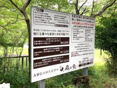 整体・森の音