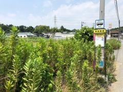 「戸崎交差点」バス停留所