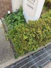 いちろ鍼灸整骨院
