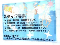 桜並木
