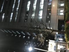 きらぼし銀行新宿支店