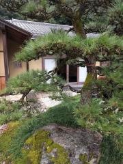 萬松館