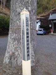 小鎚神社