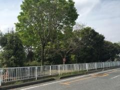 立野公園