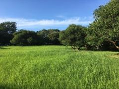箱崎ふ頭記念公園