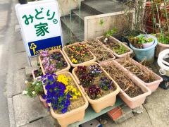 お好み村みどりの家