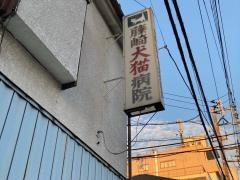 藤崎犬猫病院