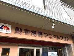 動物病院アニマルプラス