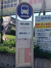 「柏原」バス停留所