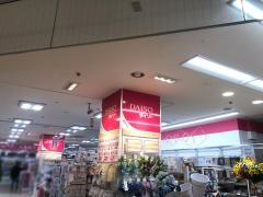 ザ・ダイソー　下田とうきゅう店