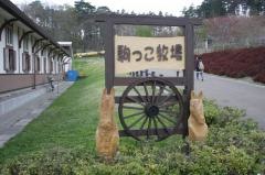 十和田市馬事公苑駒っこランド