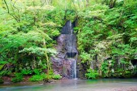 白絹の滝