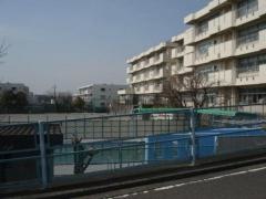 桜井小学校