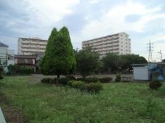 緑の広場7号