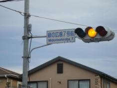 緑の広場7号