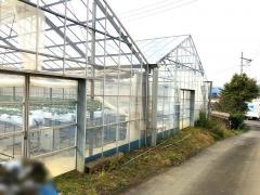 モモタ農園