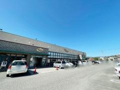 バリューかがみの店