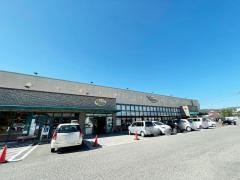 バリューかがみの店