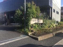 花鮨