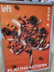 ゆめタウン徳島ロフト