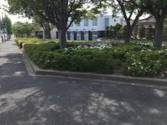 鶴見坦緑地