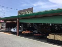 アバンセ群馬町店