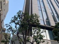 ミナトホールディングス株式会社