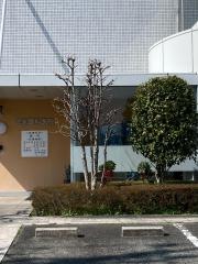 徳永眼科医院