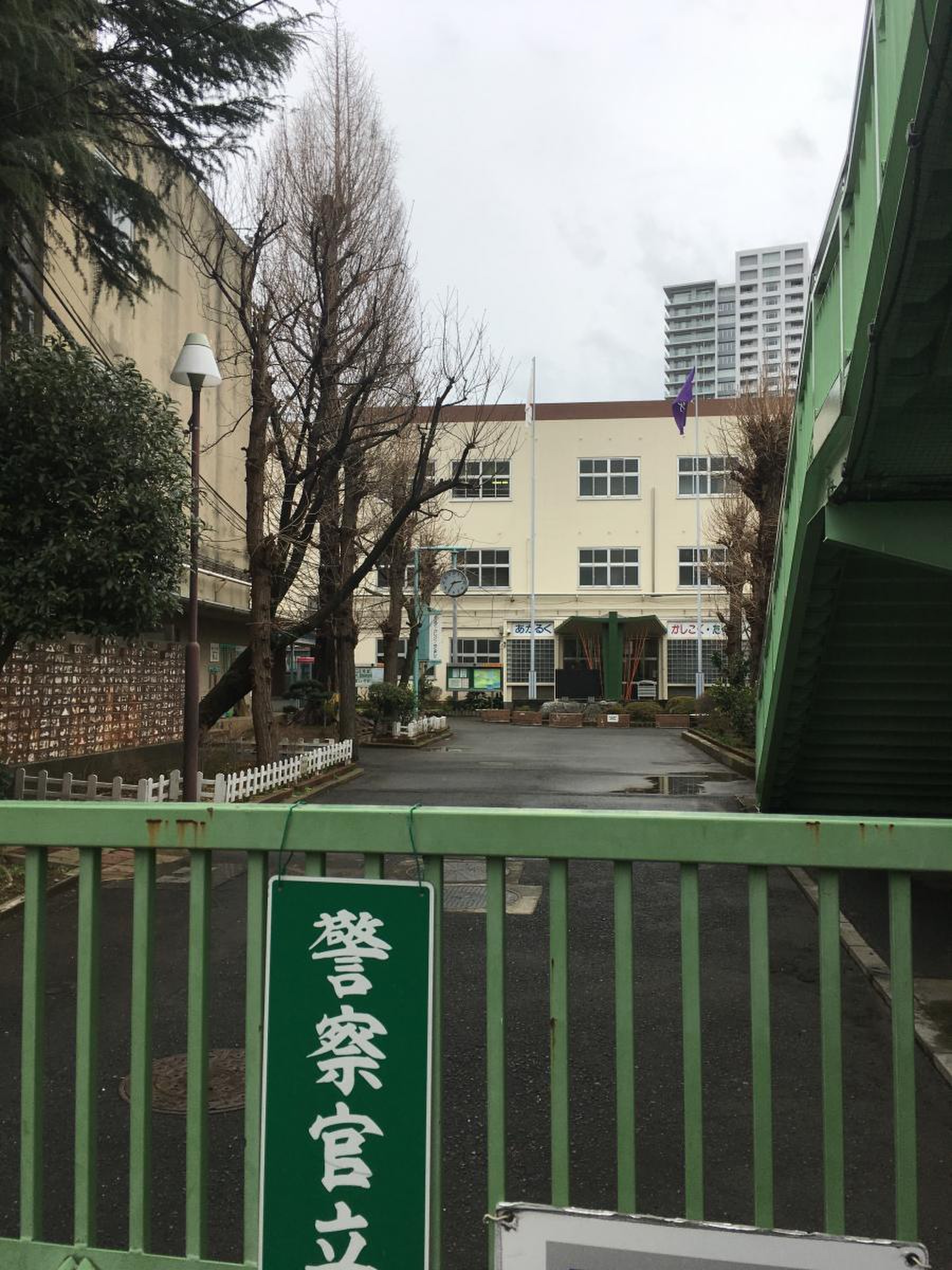 大宮 小学校