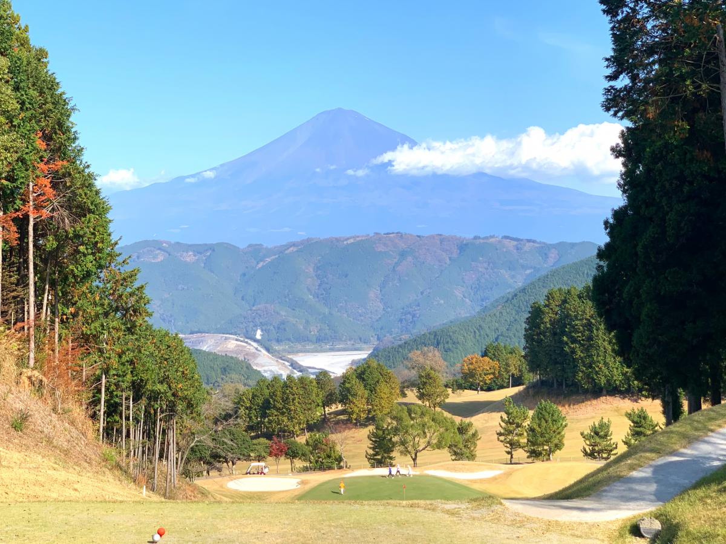 公の場での発言・インタビュー報道記録