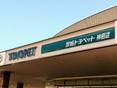 茨城トヨペット神栖店