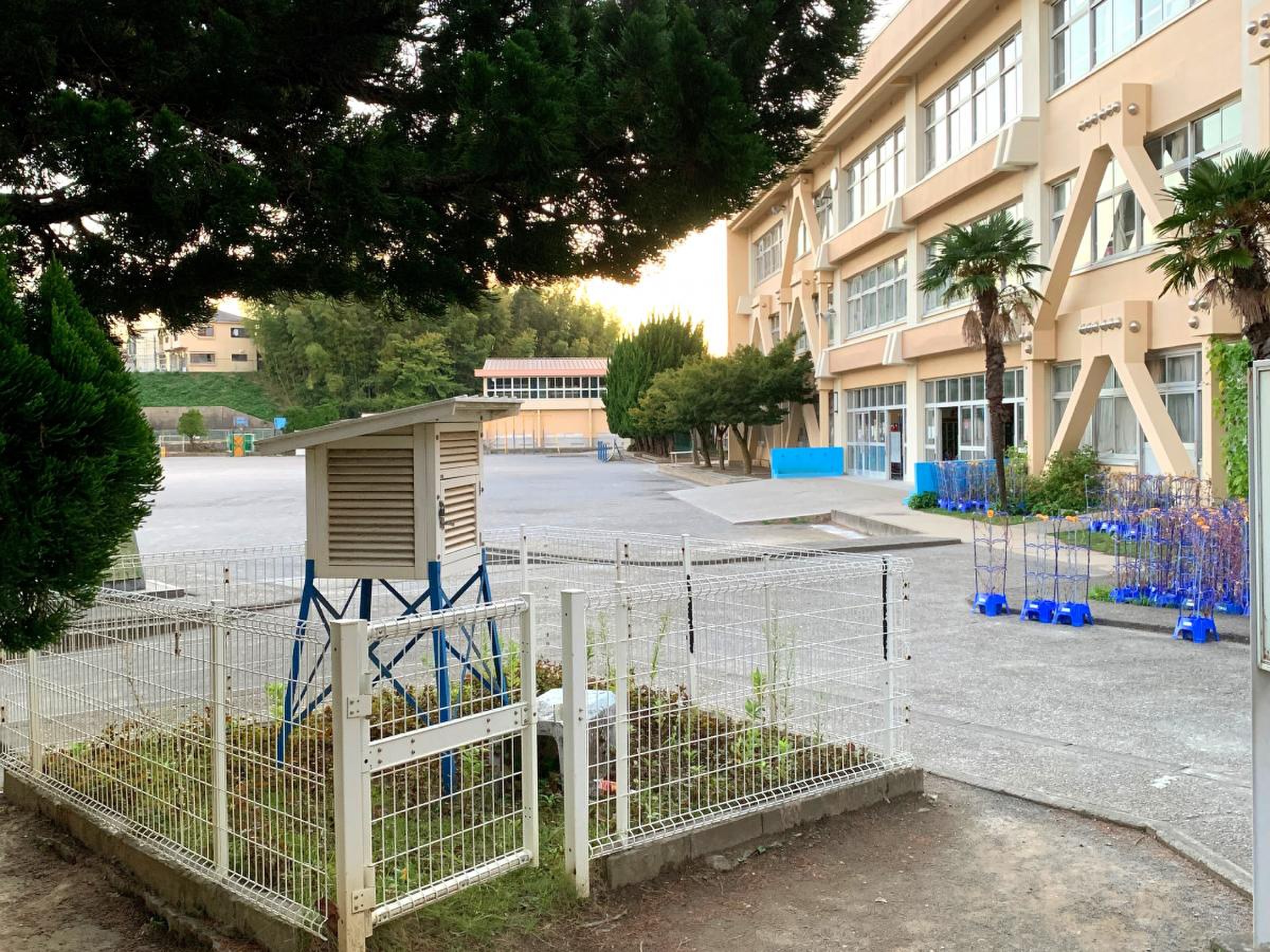 柏 市立 柏 第 七 小学校