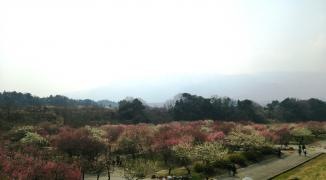いなべ市農業公園