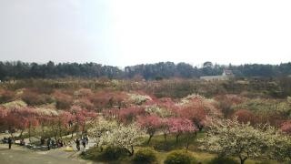 いなべ市農業公園