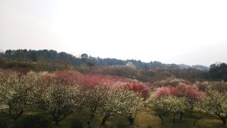 いなべ市農業公園