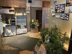 寄港地ｋｉｔｃｈｅｎ　シマエナガ