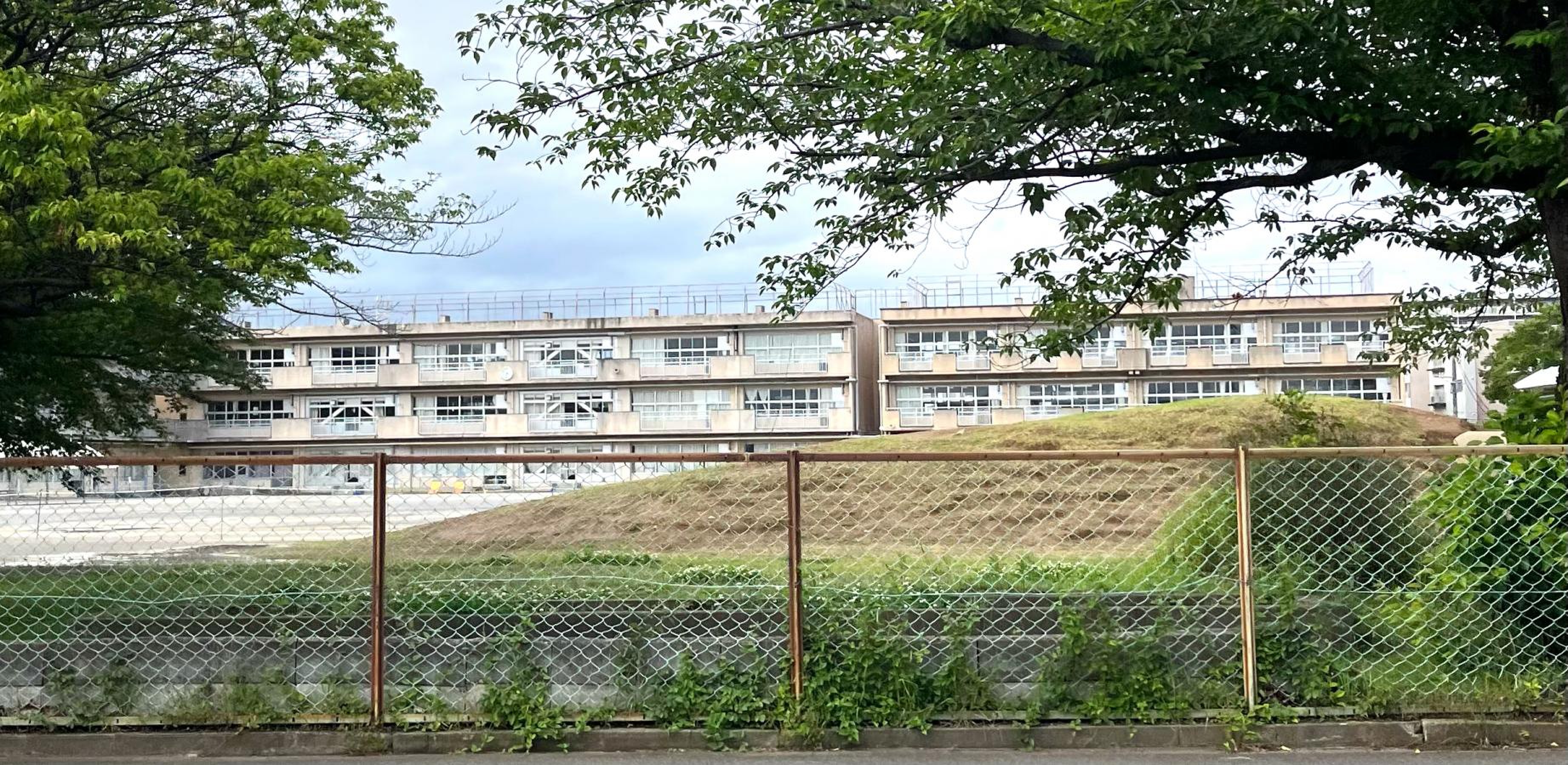 活動歴および当時の関連ビジュアル記録