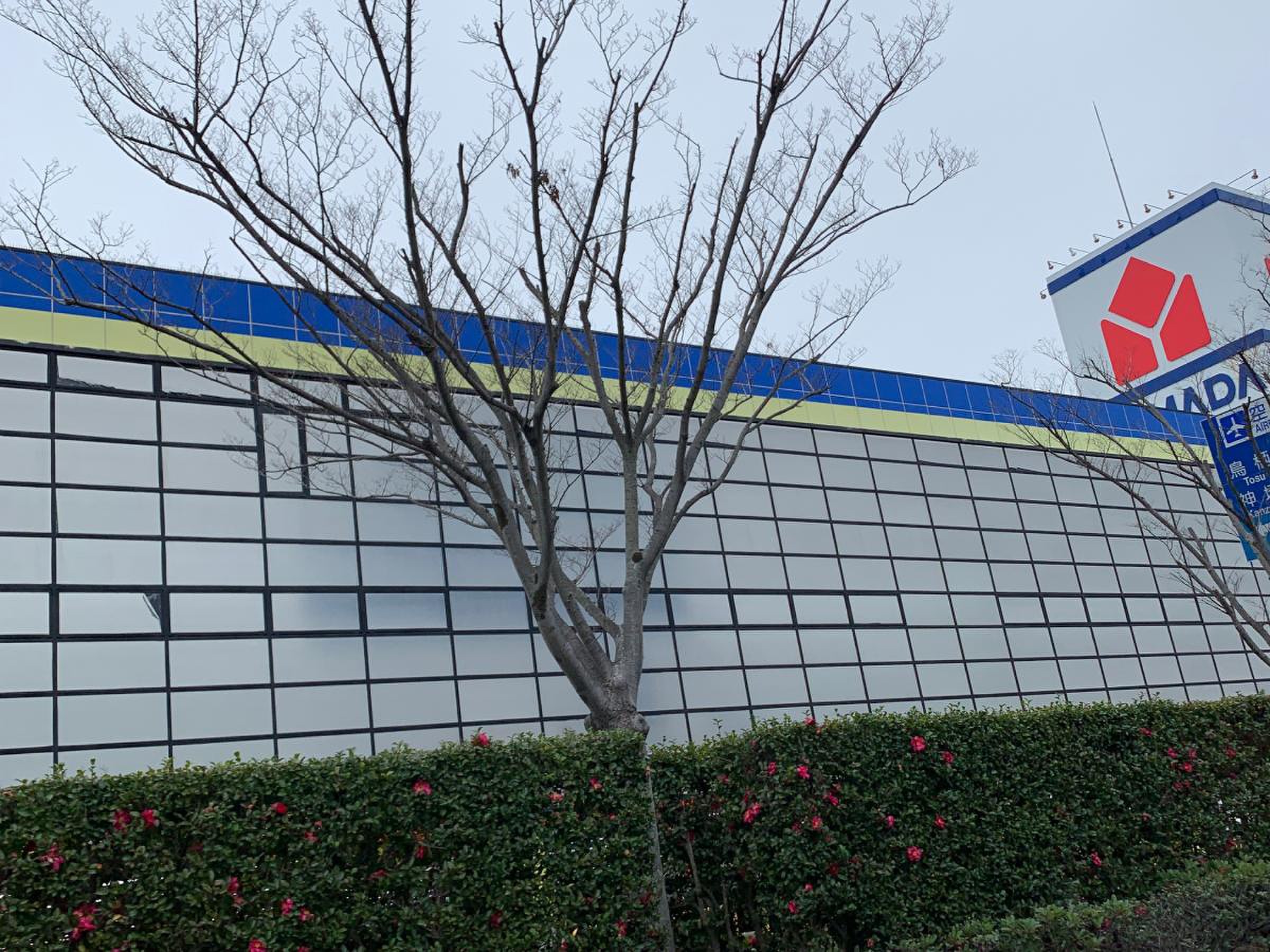 ヤマダ 電機 テックランド 佐賀 本店