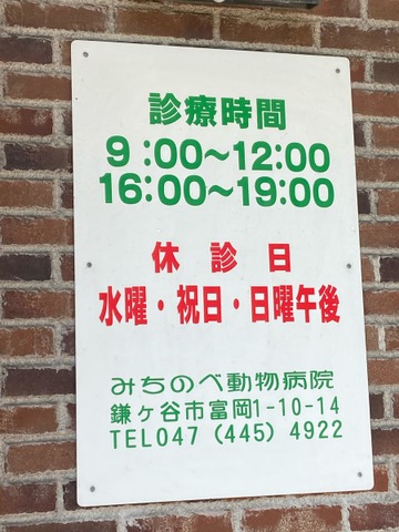 投稿写真2