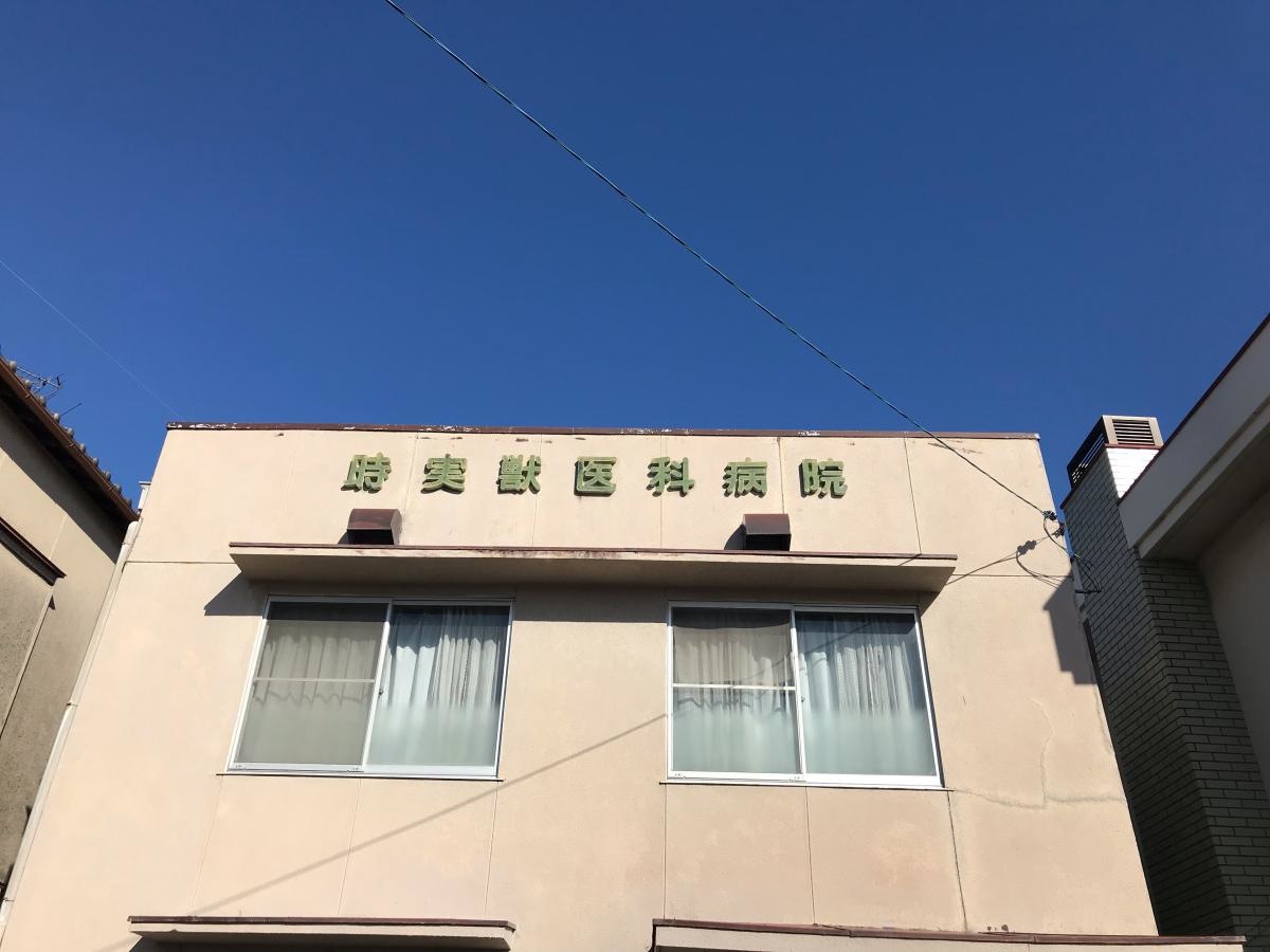 時実獣医科病院