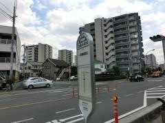 「白幡中学校」バス停留所