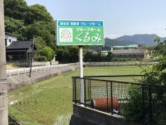 くるみ
