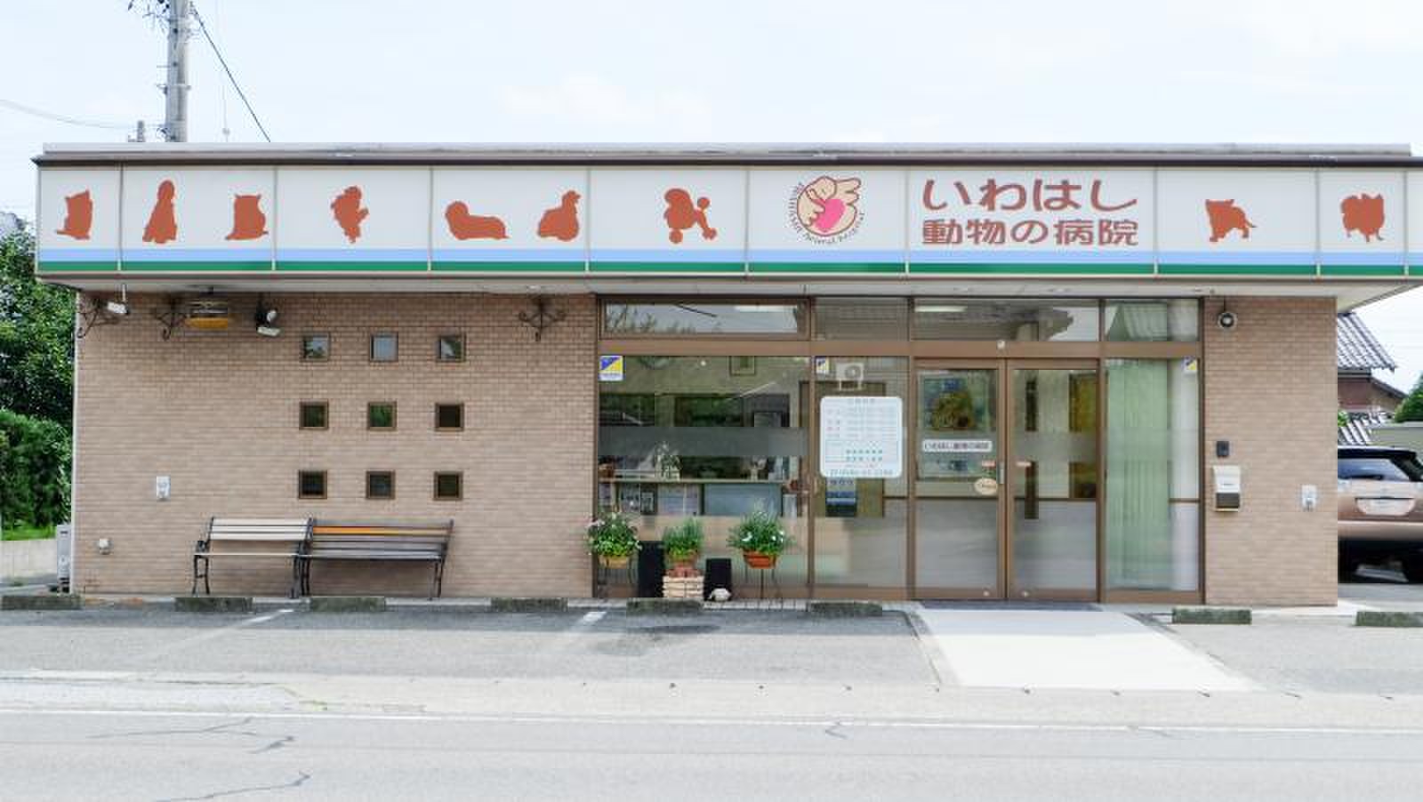 活動歴および当時の関連ビジュアル記録