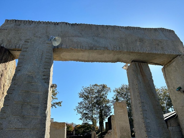投稿写真1