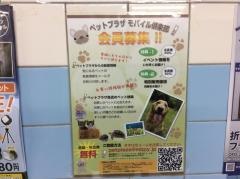 ペットプラザジェームス山店
