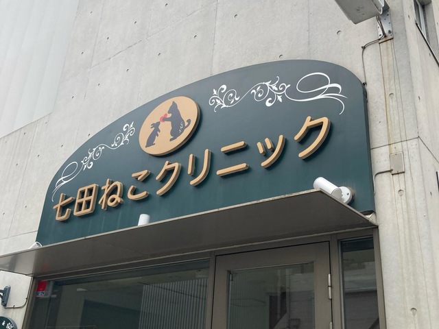 投稿写真7
