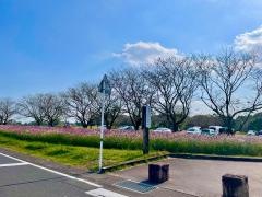 特別史跡公園西都原古墳群