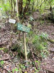 加江田渓谷