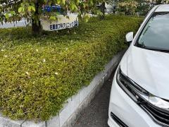 佐藤皮フ科クリニック
